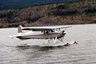 Dehavilland DHC-2 MK1 Dehavilland DHC-2 MK1