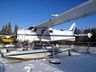 Dehavilland DHC-2 (Floats) Dehavilland DHC-2 (Floats)