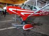 Piper PA 18-150 /pic 4