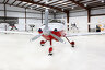 Cessna 350 /pic 3