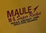 Maule M-6-235 [Fractional ownership 1/3] /pic 2