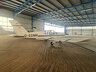 Eads/Socata TB21 Turbo Trinidad /pic 3