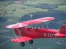 Stampe SV4C /pic 4