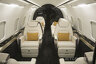 Bombardier/Challenger 350 /pic 2