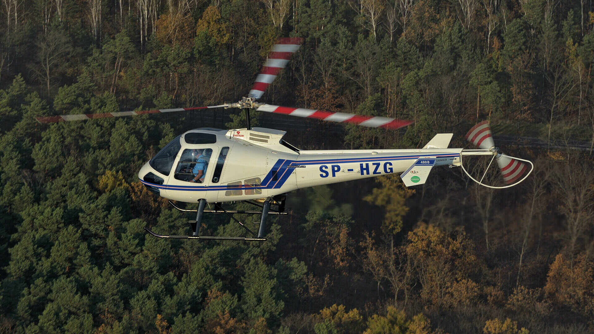 2010 Enstrom 408B, photo 6