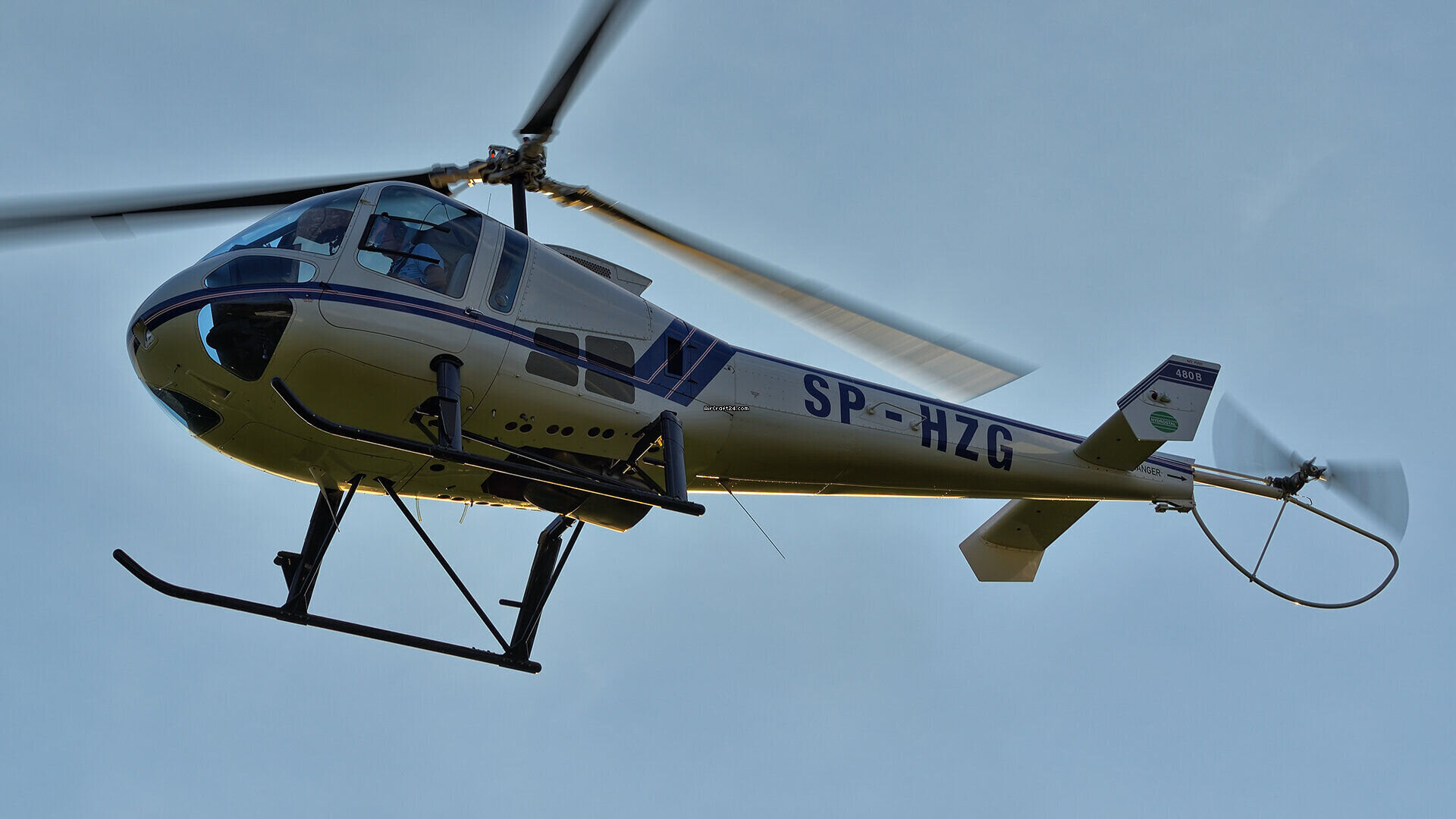 2010 Enstrom 408B, photo 9