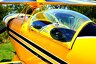 Aviat PITTS S-2A /pic 3