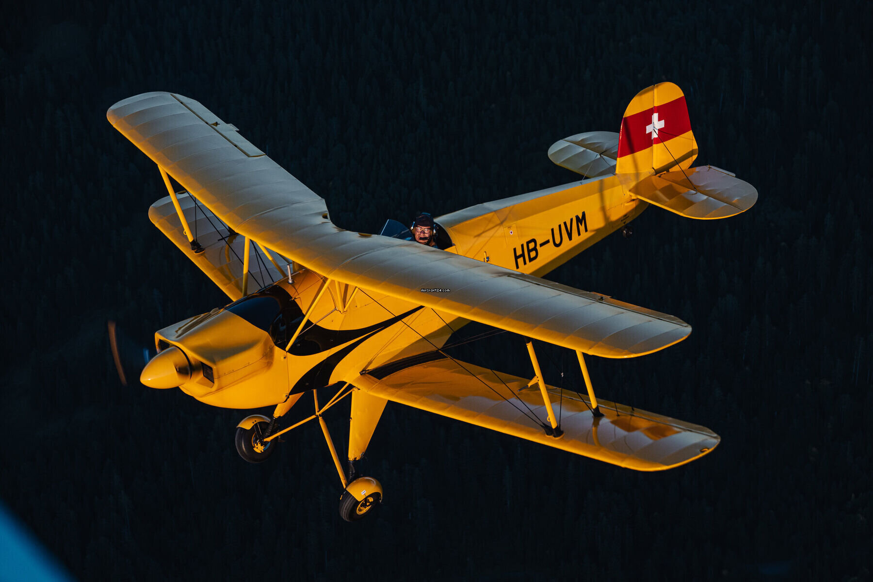 1954 Bucker Jungmann 1.131-E Serie 2000, photo 5