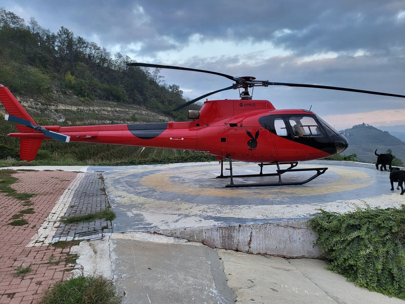 1985 Airbus AS350B, photo 1