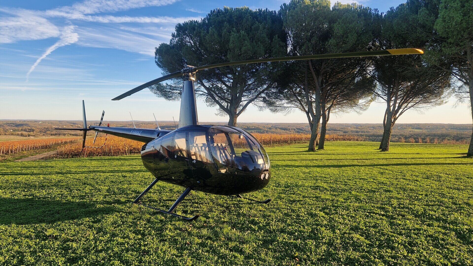 2010 Robinson R44, photo 1