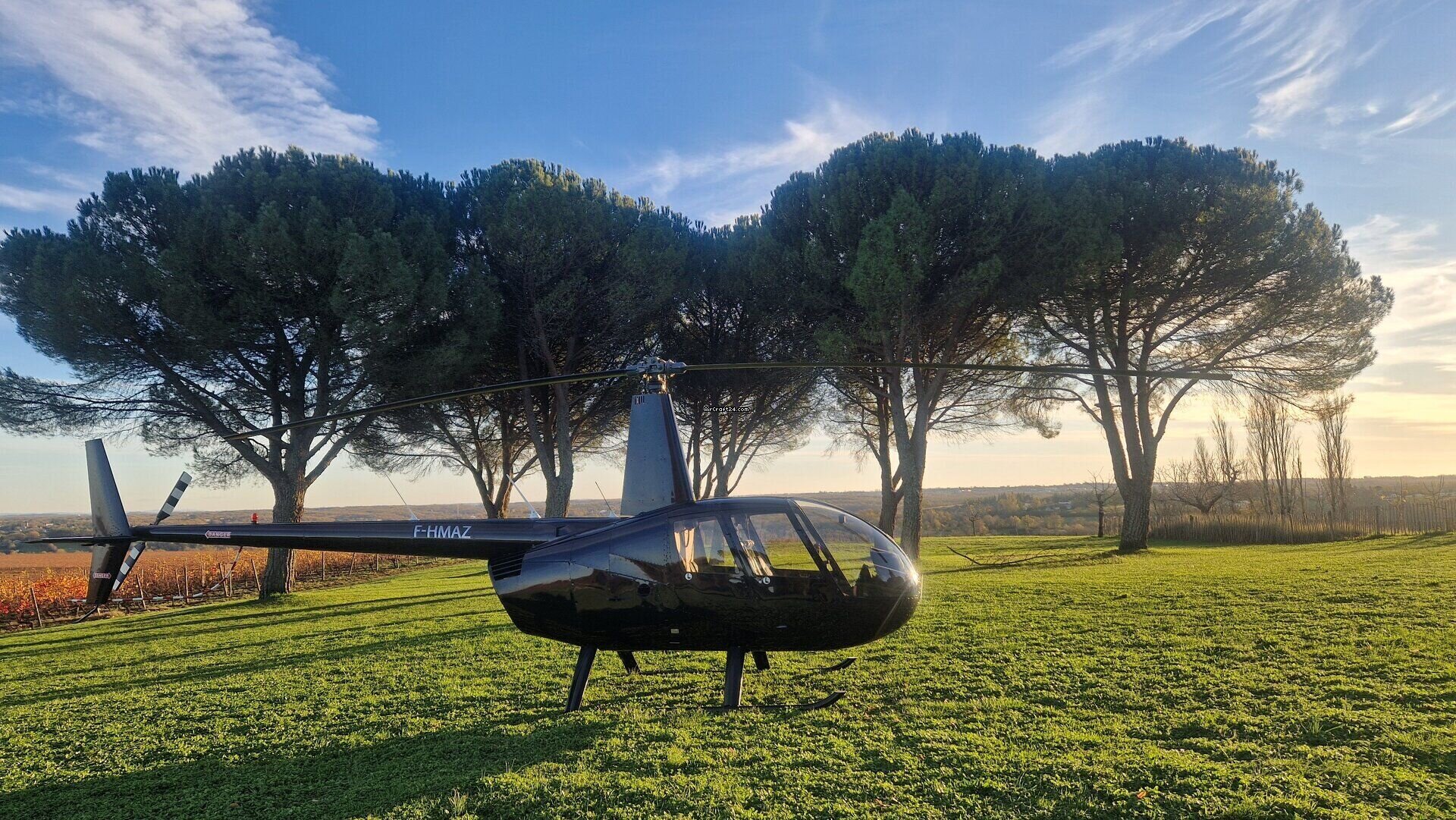 2010 Robinson R44, photo 8