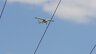 Flight Design Ctls-LSA-600kg /pic 4