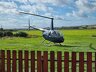 Robinson R-44 Raven I /pic 2