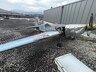 EXTRA Aircraft EA 300/S /pic 4