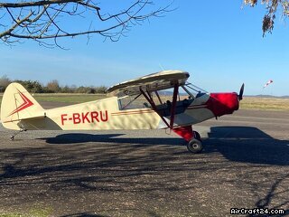 Piper PA 19