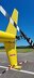 Robinson R44 /pic 2
