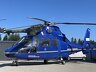 Eurocopter AS 365 Dauphin , f�r Schulung , Deko /pic 3
