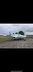 Cessna C 340 A with Camera Hole /pic 2