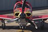 Diamond DA50 RG /pic 4